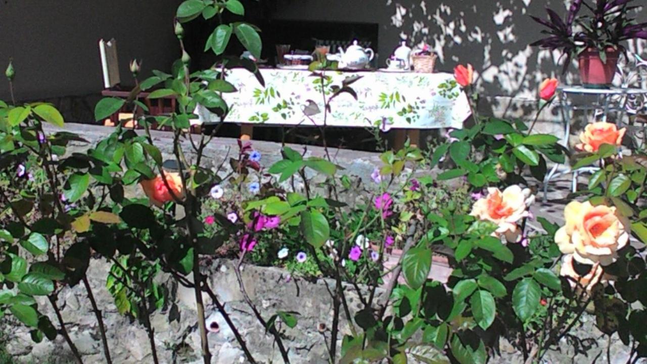 Bed and Breakfast Casa Ciosse à Grognardo Extérieur photo